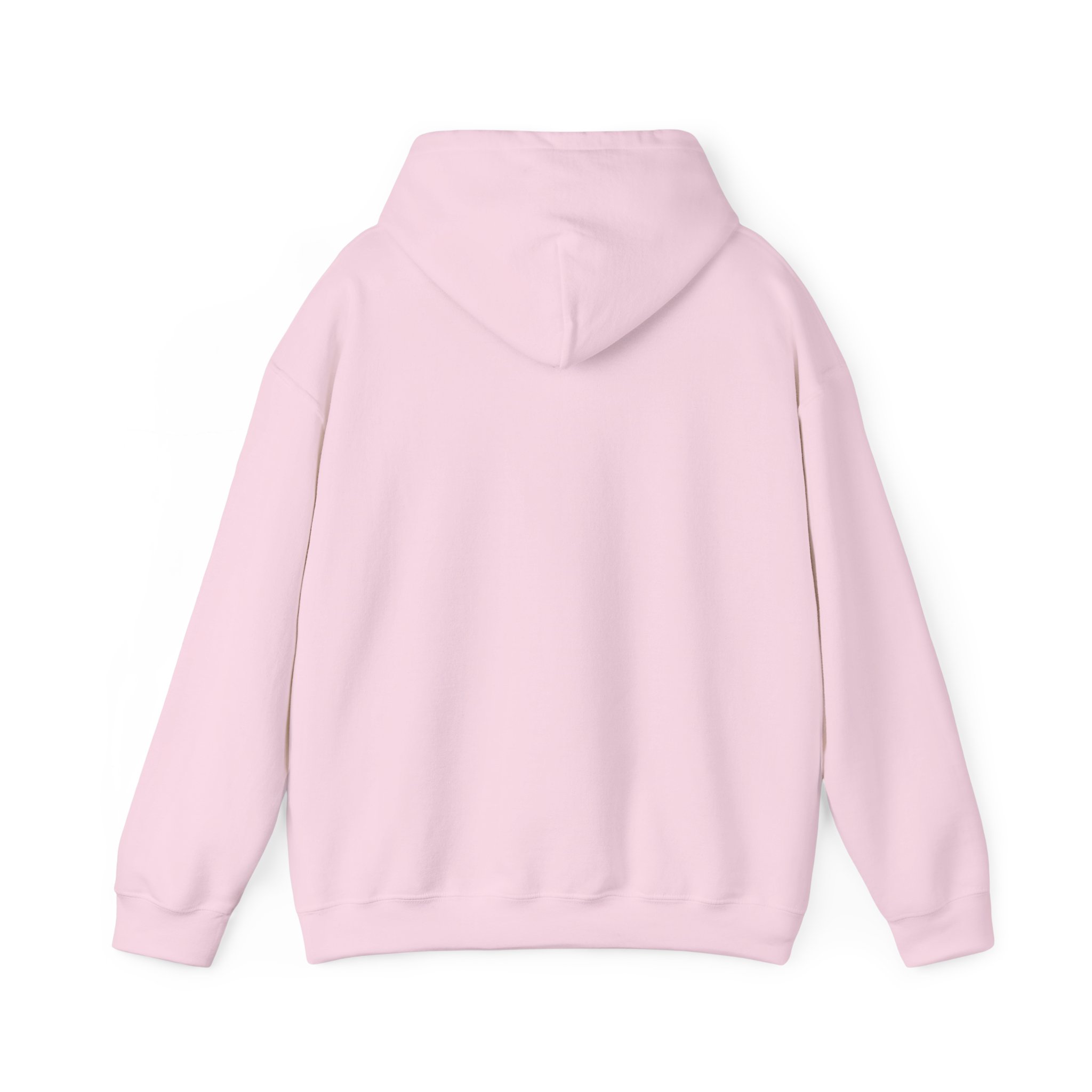 MSW Master of Social Work Hoodie – Social Work Graduation Gift - Image 22