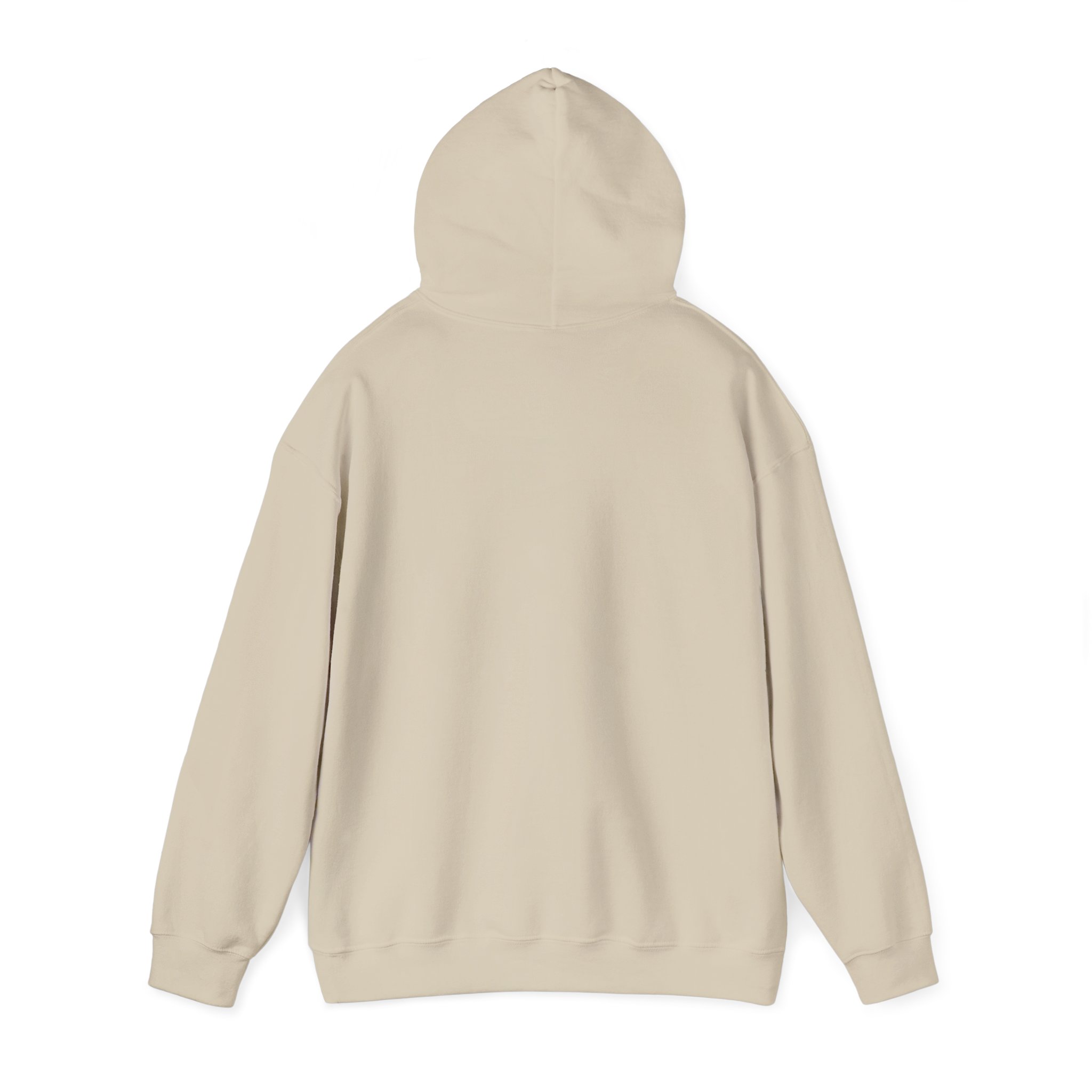 Physiotherapist Hoodie – Physio Gift - Image 11