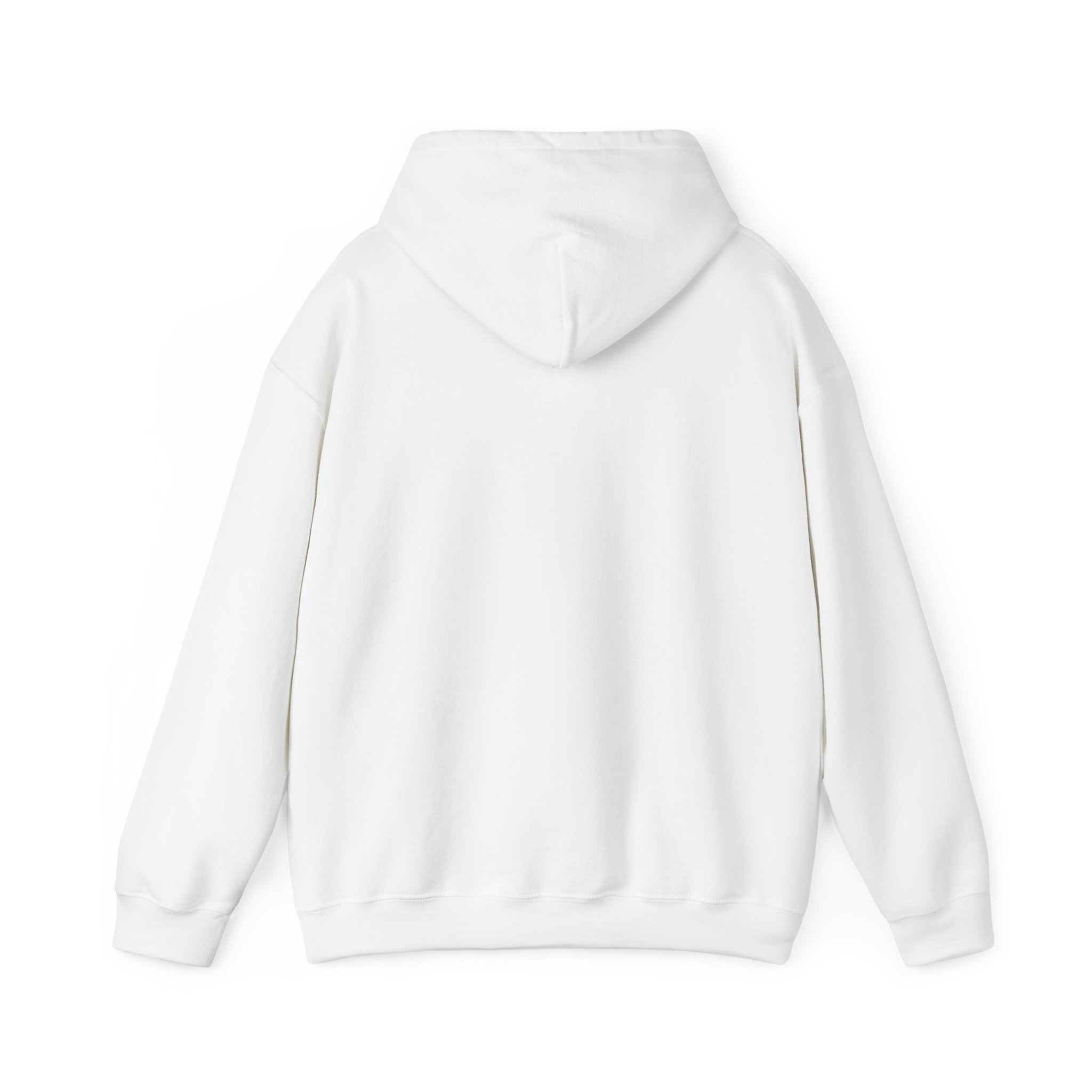 RSW Registered Social Worker Hoodie – Canadian Social Worker Gift - Image 2